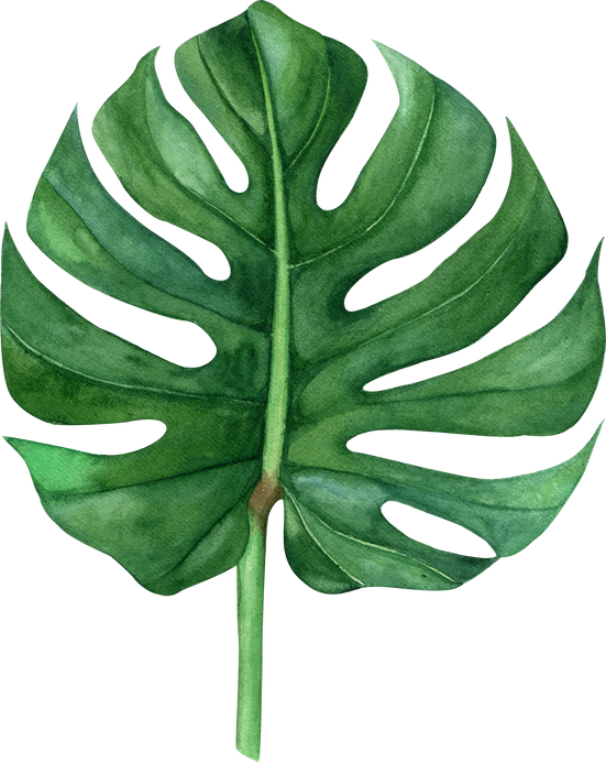 Watercolor green palm leaf monstera
